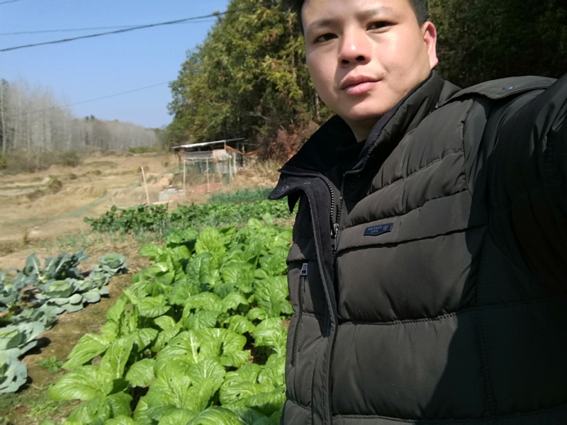 倔强的驴的第一张照片--将乐交友网