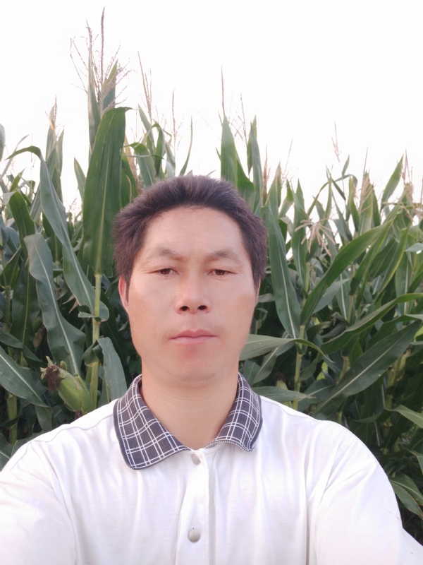 四海游龙的第二张照片--将乐交友网