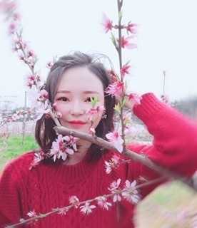 小桌子的第一张照片--将乐交友网