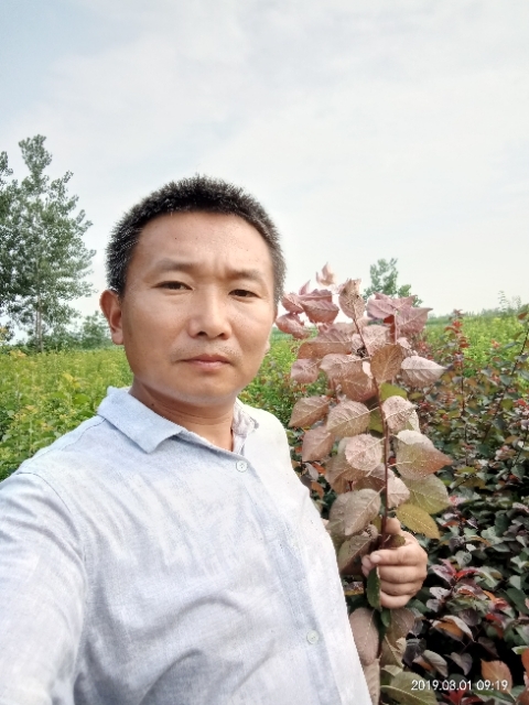 孩子爸的第一张照片--将乐交友网