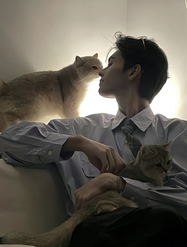 怪猫的第一张照片--将乐交友网