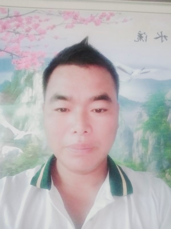 阳光男孩的第二张照片--将乐交友网