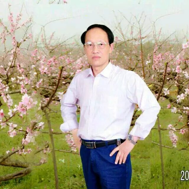 枫叶的第一张照片--将乐交友网